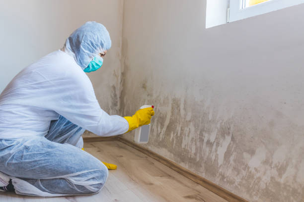 Hvac And Air Duct Mold Remediation inspection of HVAC system in Avondale Estates