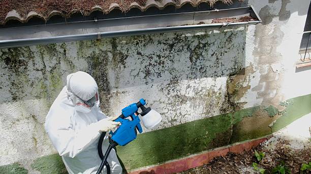 Mold Removal service in Avondale Estates